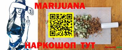 прущие крисы Гусев