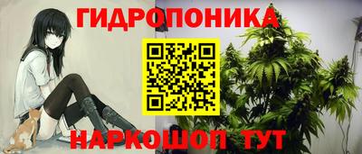 прущие крисы Гусев