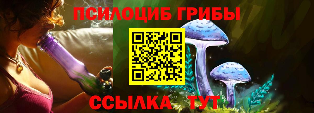 где купить наркоту  Псилоцибиновые грибы ЛСД  Вход с VPN  Галлюциногенные грибы мицелий  Москва 
